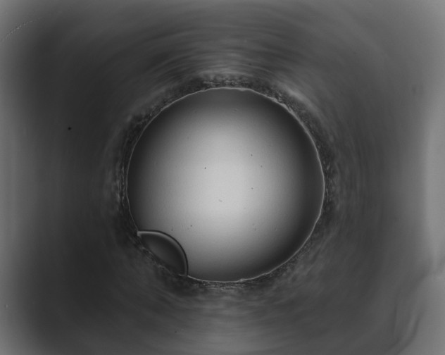 X0000089660870200706281319