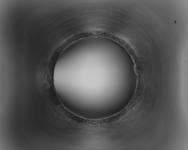 X0000089660871200706281319