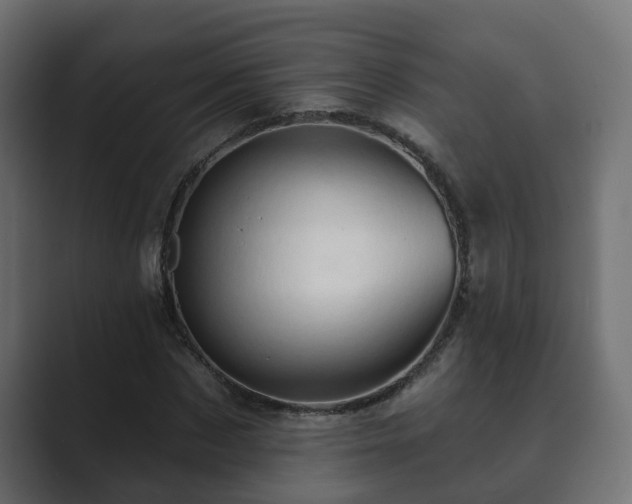 X0000089660873200706281319