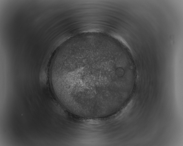 X0000089660874200706281319