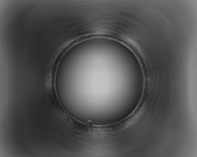 X0000089660875200706281319