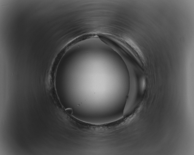 X0000089660876200706281319