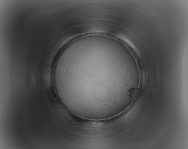 X0000089660878200706281319