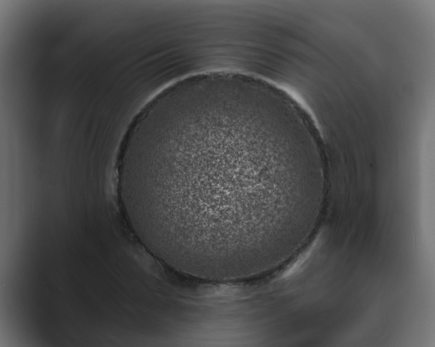X0000089660879200706281319