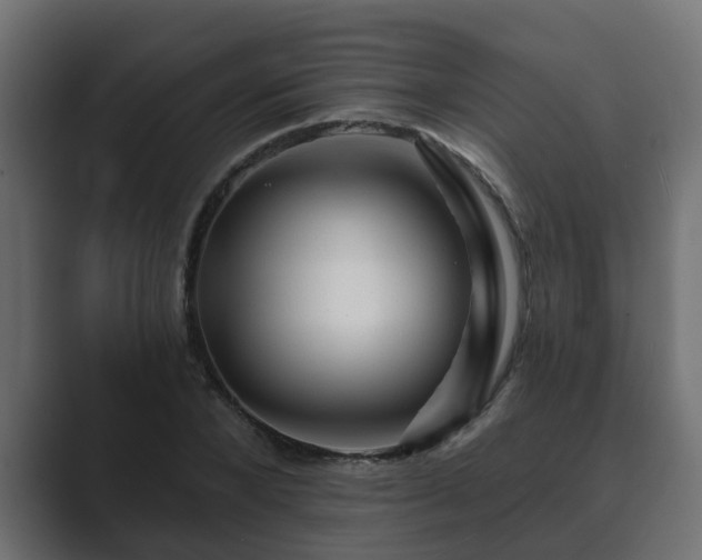 X0000089660880200706281319