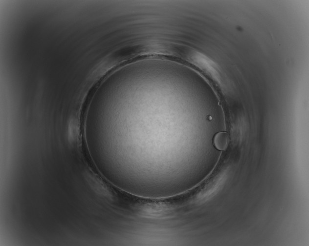 X0000089660882200706281319