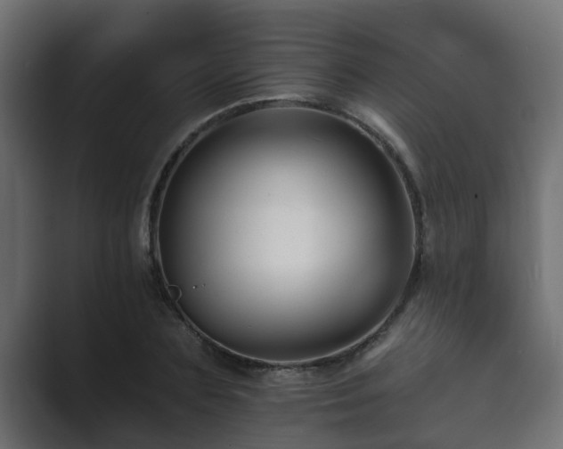 X0000089660883200706281319