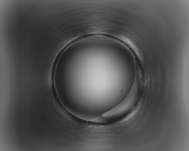 X0000089660885200706281319