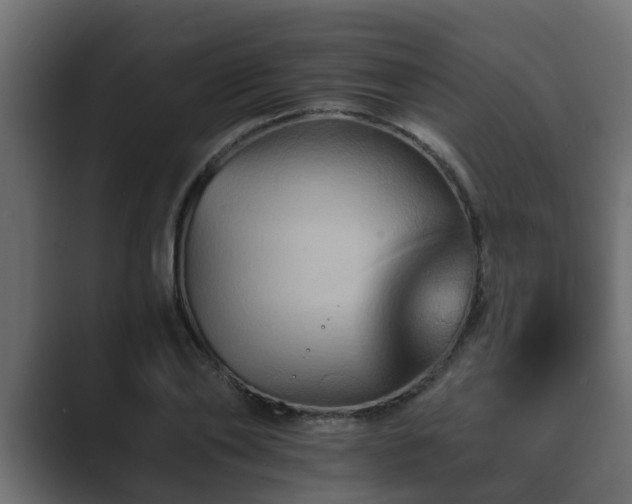 X0000089660886200706281319