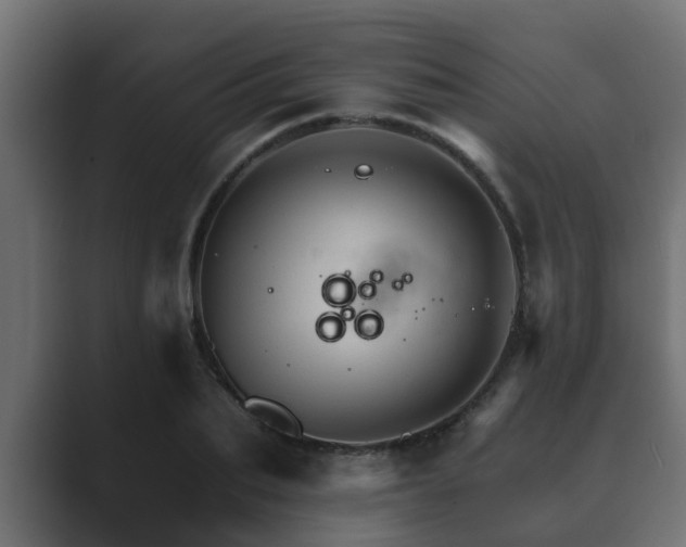 X0000089660887200706281319