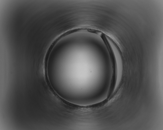 X0000089660888200706281319
