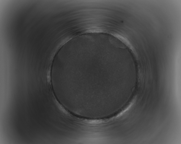 X0000089660889200706281319