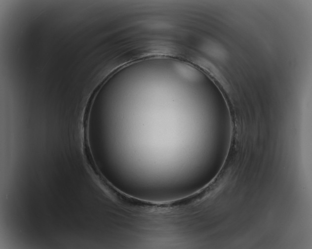 X0000089660890200706281319
