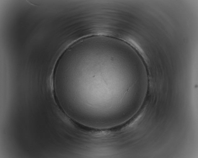X0000089660891200706281319