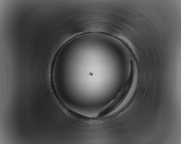 X0000089660894200706281319