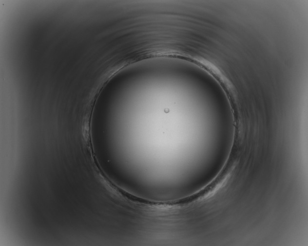 X0000089660897200706281319