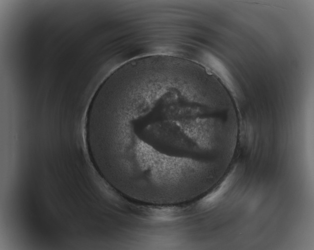X0000089660899200706281319