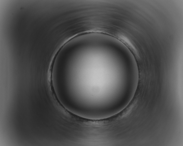 X0000089660900200706281319