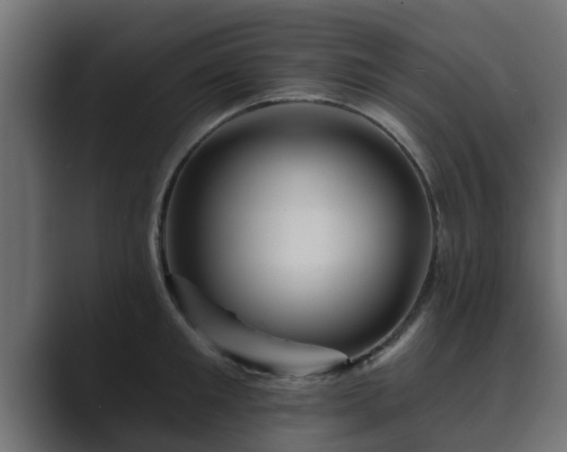 X0000089660901200706281319
