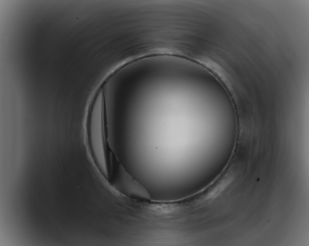 X0000089660902200706281319