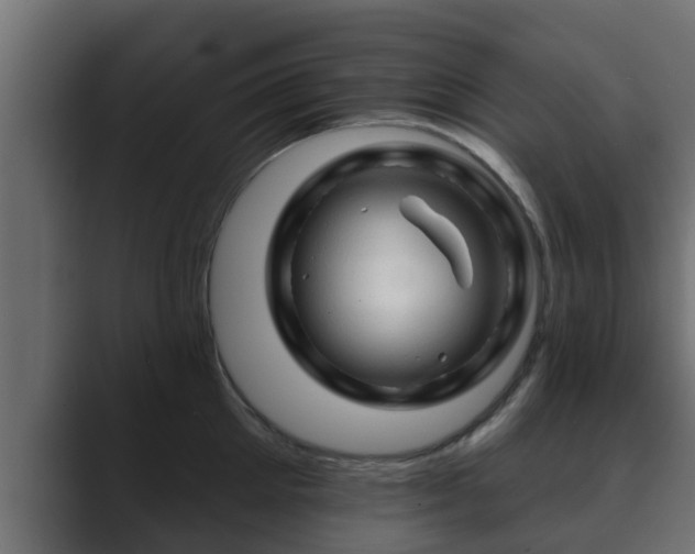 X0000089660905200706281319