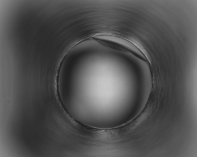 X0000089660906200706281319