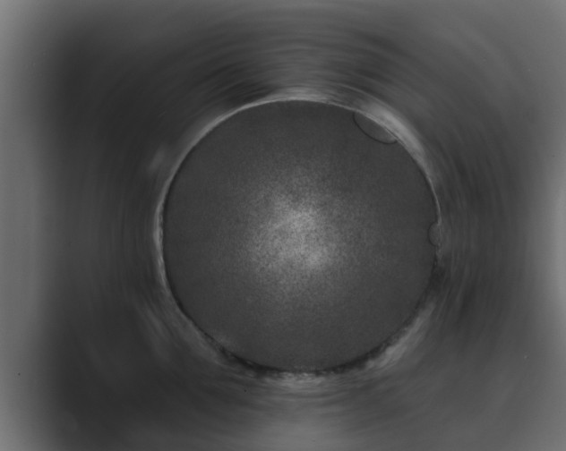 X0000089660907200706281319