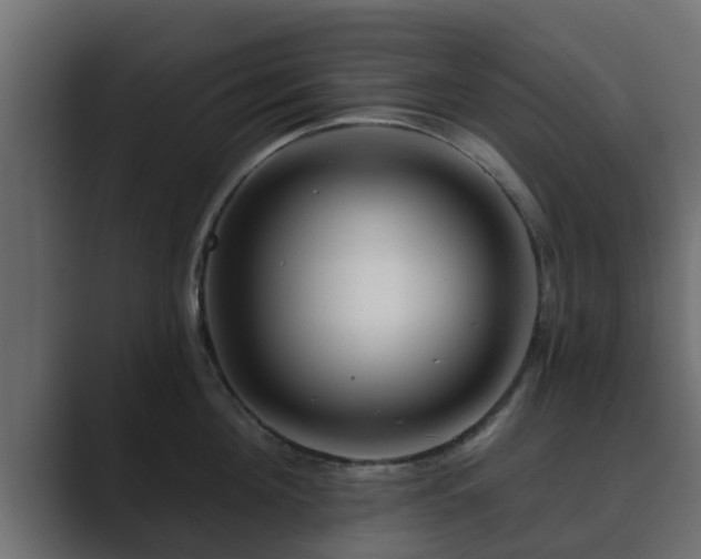 X0000089660908200706281319
