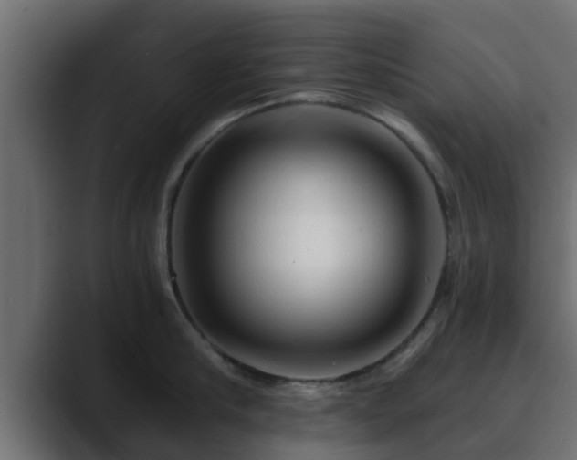 X0000089660910200706281319