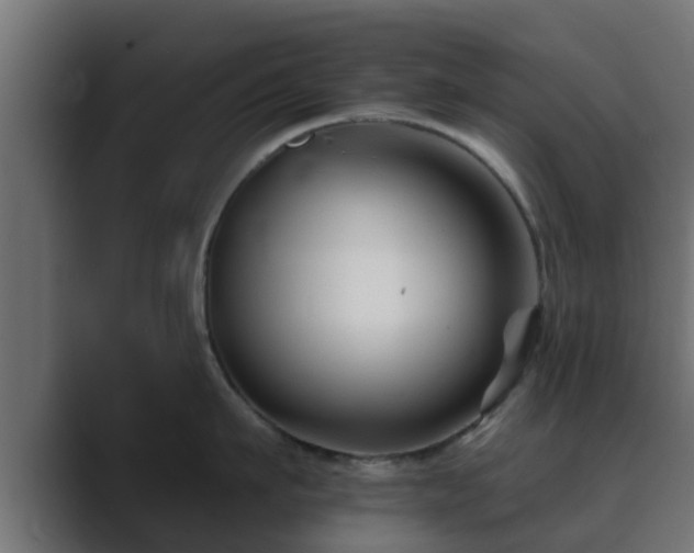 X0000089660911200706281319