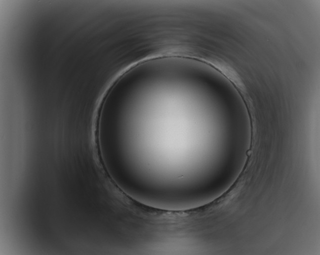 X0000089660912200706281319