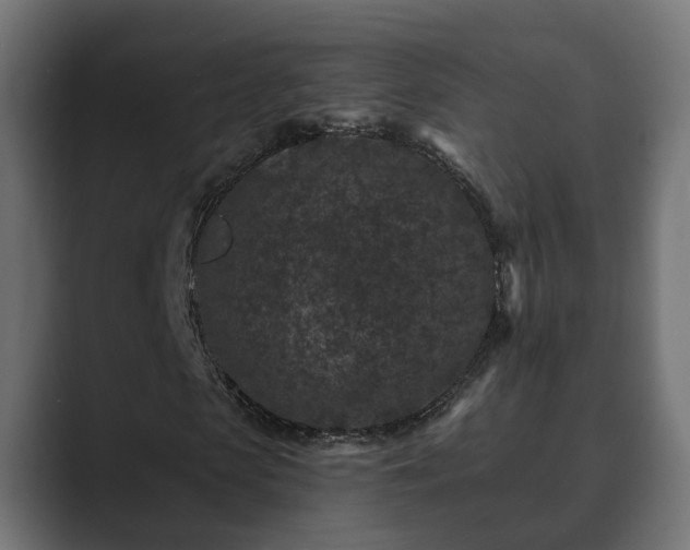 X0000089660913200706281318