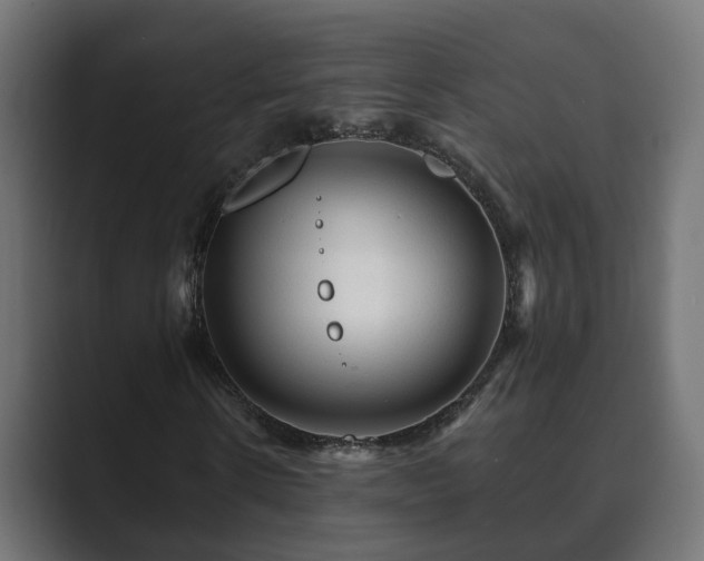 X0000089660914200706281318