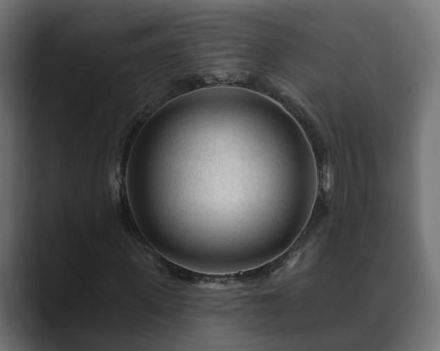 X0000089660915200706281318