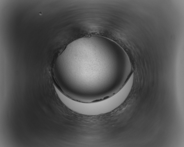 X0000089660916200706281318