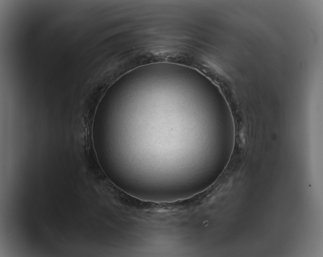 X0000089660917200706281318