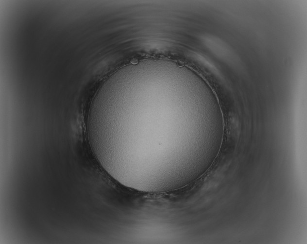 X0000089660918200706281318
