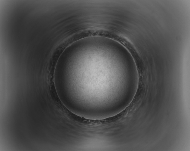 X0000089660919200706281318