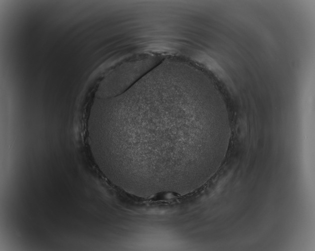 X0000089660920200706281318