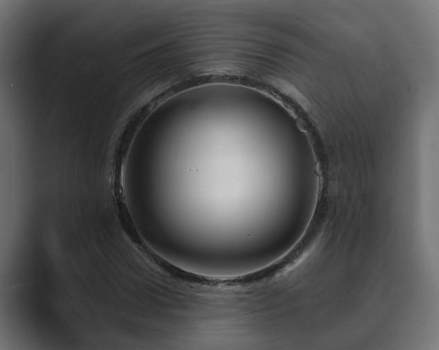 X0000089660922200706281318