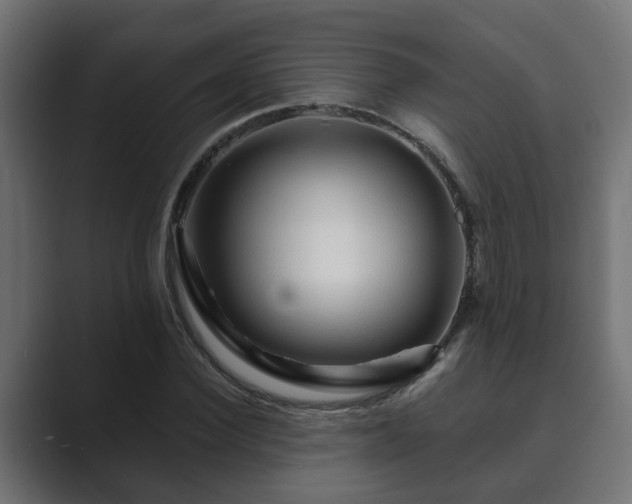 X0000089660924200706281318