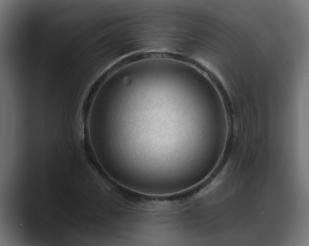 X0000089660925200706281318