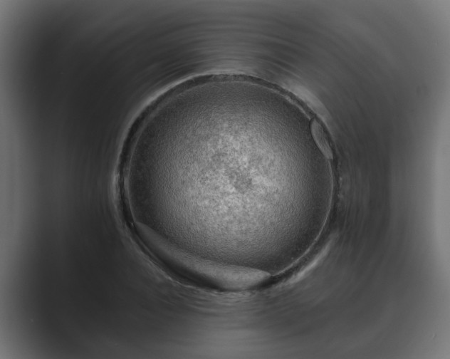 X0000089660928200706281318