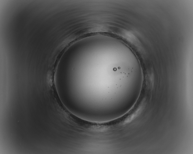 X0000089660929200706281318