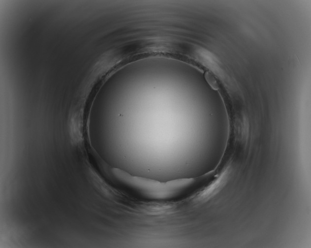 X0000089660930200706281318