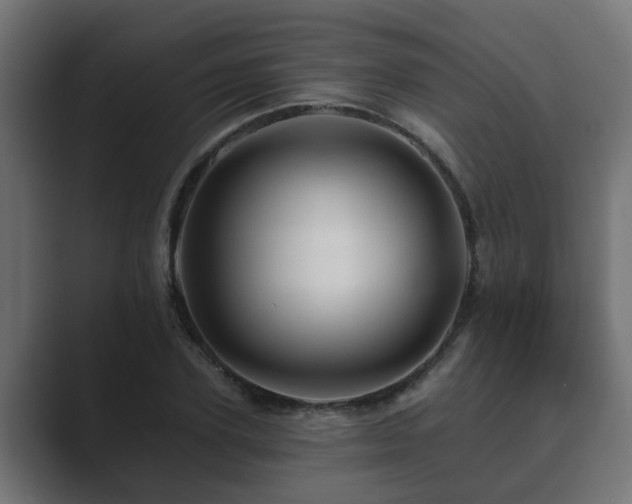 X0000089660931200706281318