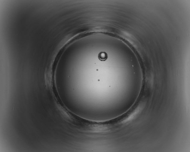 X0000089660933200706281318