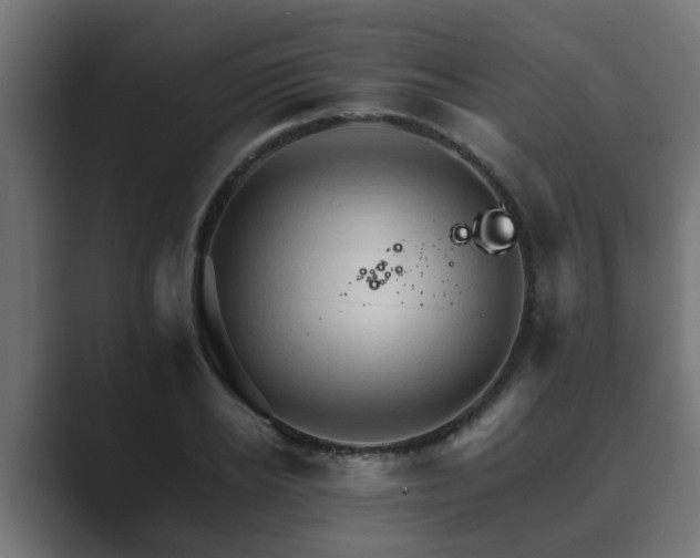 X0000089660934200706281318