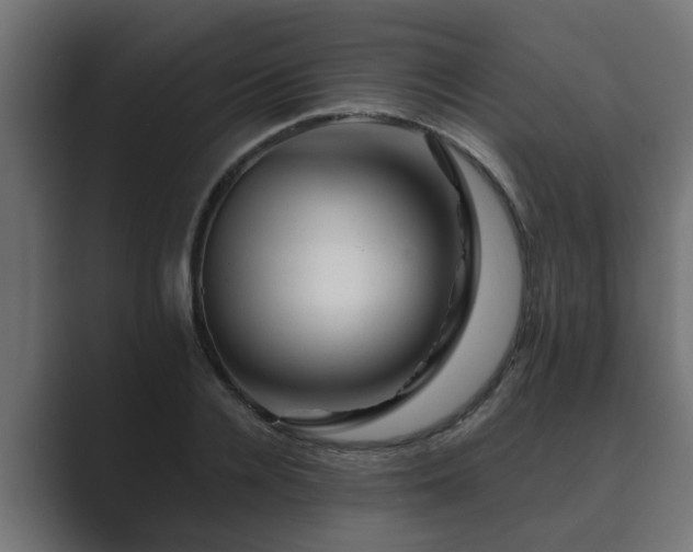 X0000089660936200706281318