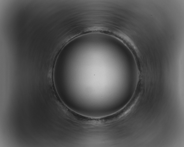 X0000089660937200706281319